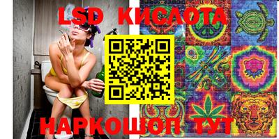 ПСИЛОЦИБИНОВЫЕ ГРИБЫ Будённовск