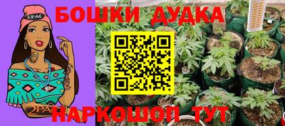 ПСИЛОЦИБИНОВЫЕ ГРИБЫ Будённовск