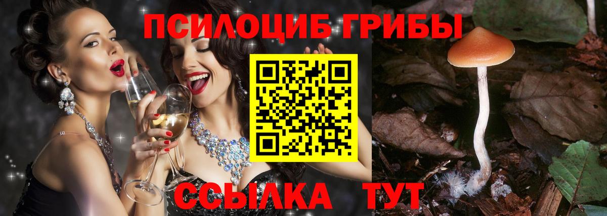 Псилоцибиновые грибы GOLDEN TEACHER  Вход с VPN  Кузнецк 